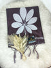 Semi Chanderi Saree- Rich Wine Brown