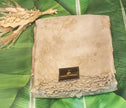 Pure Banarasi Organza Saree - Ivory Beige
