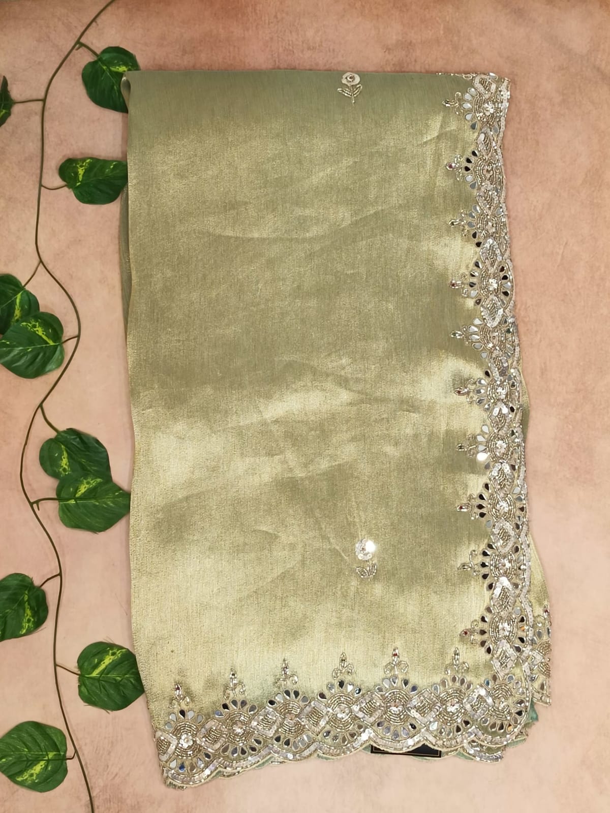 Pure Kanchi Tissue Silk Handwork Saree - Pastel Pistachio Green