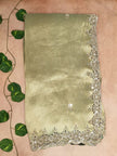 Pure Kanchi Tissue Silk Handwork Saree - Pastel Pistachio Green