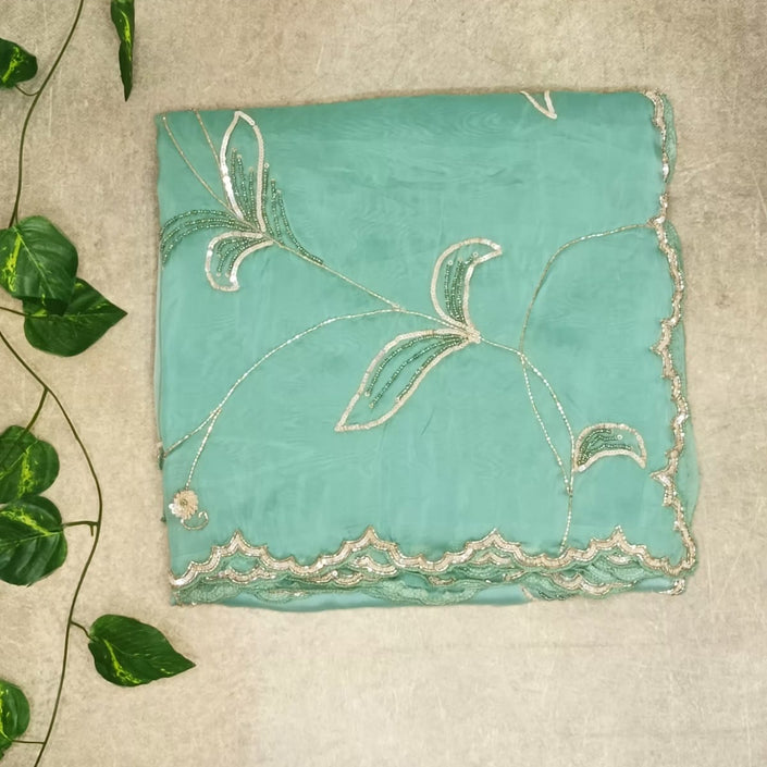 Pure Organza Saree  - Pastel Sea Green