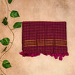 Gadwal Checks Cotton Saree
