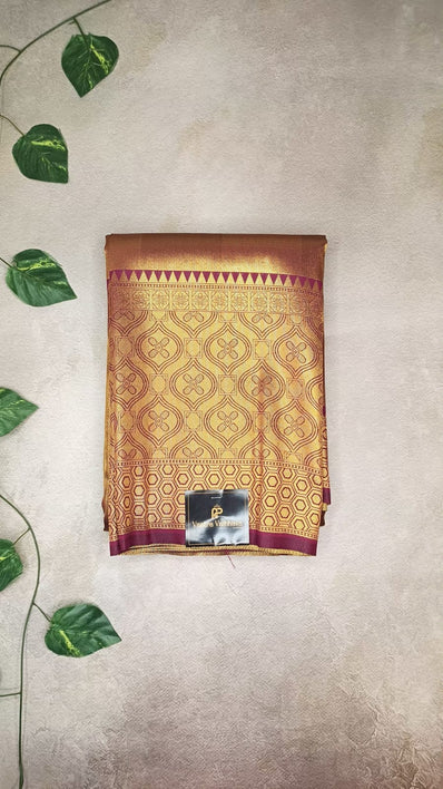 Premium Tissue Kanchipuram Silk Saree