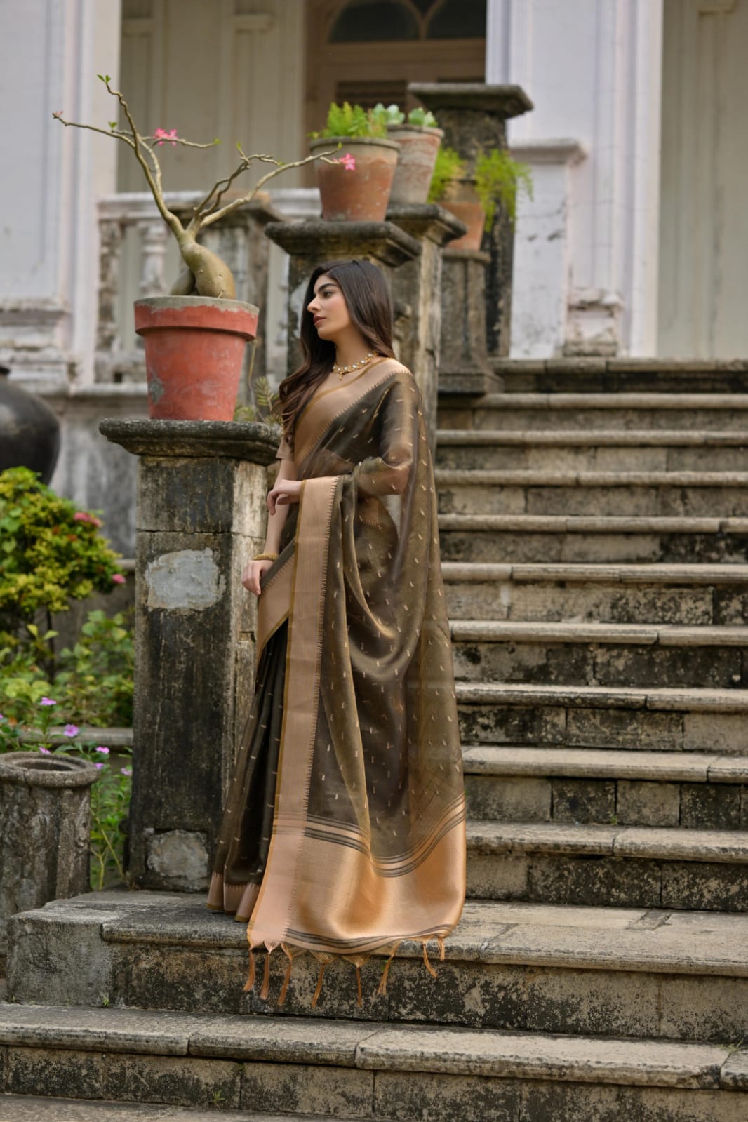 Kalyani Silk Saree