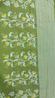 Tussar Handloom Saree